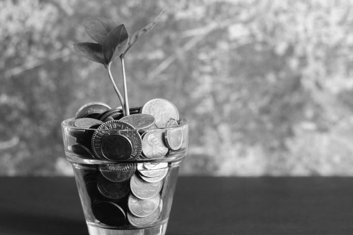 a glass vase filled with coins and a plant.